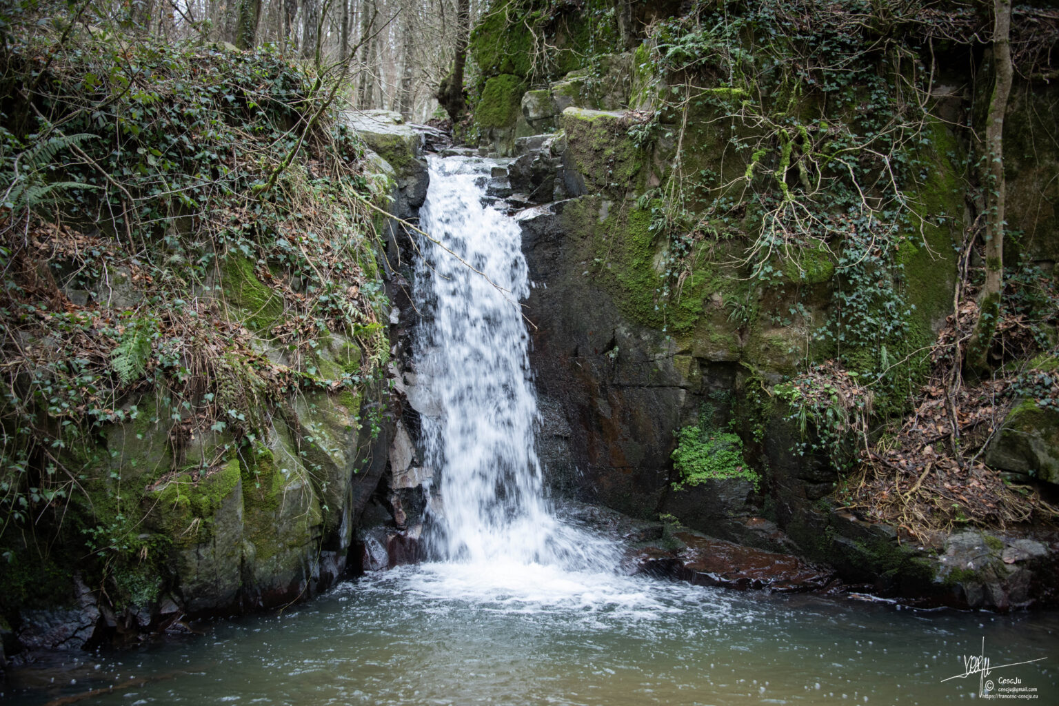 Cascada del Salt de Sant Martí que cau entre roques cobertes de molsa fins a un gorg tranquil.