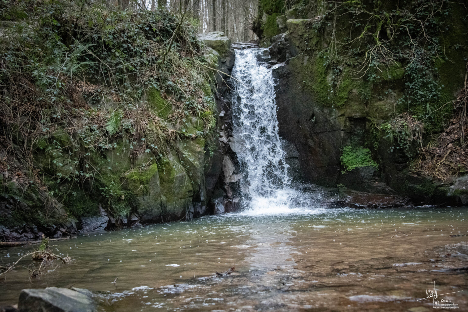 Cascada del Salt de Sant Martí i el gorg, envoltats de vegetació.